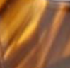 marrón