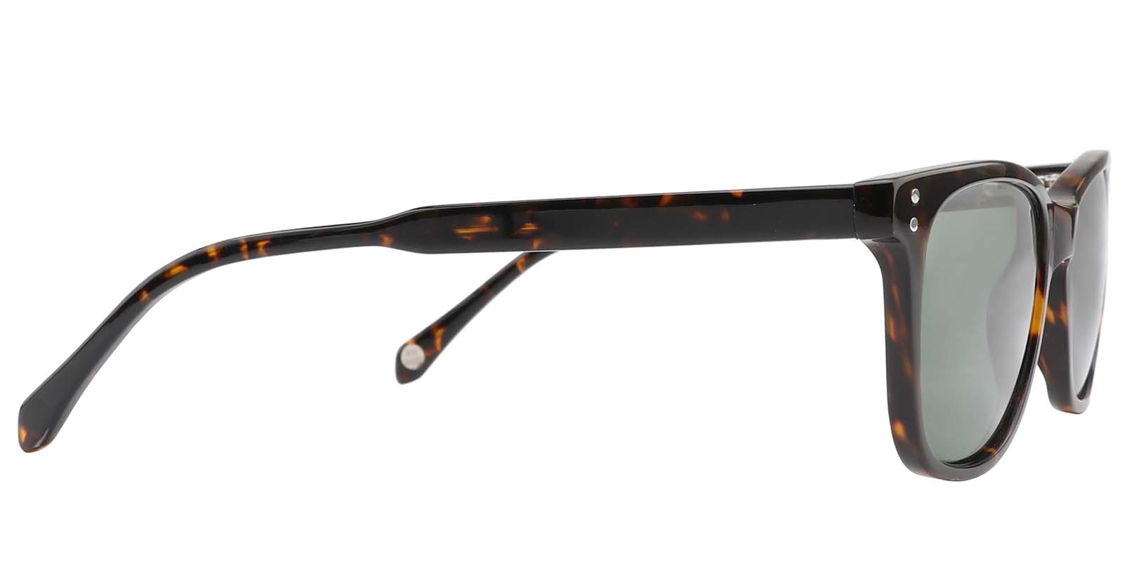 EYE8003S-Grefor-tortuga