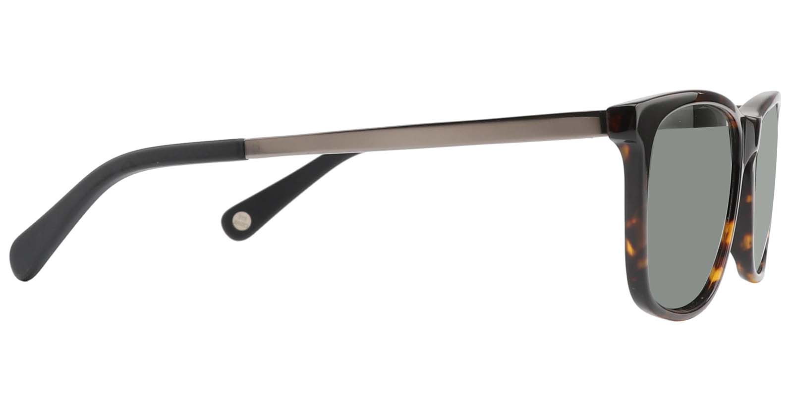 EYE8008S-Matour-tortuga