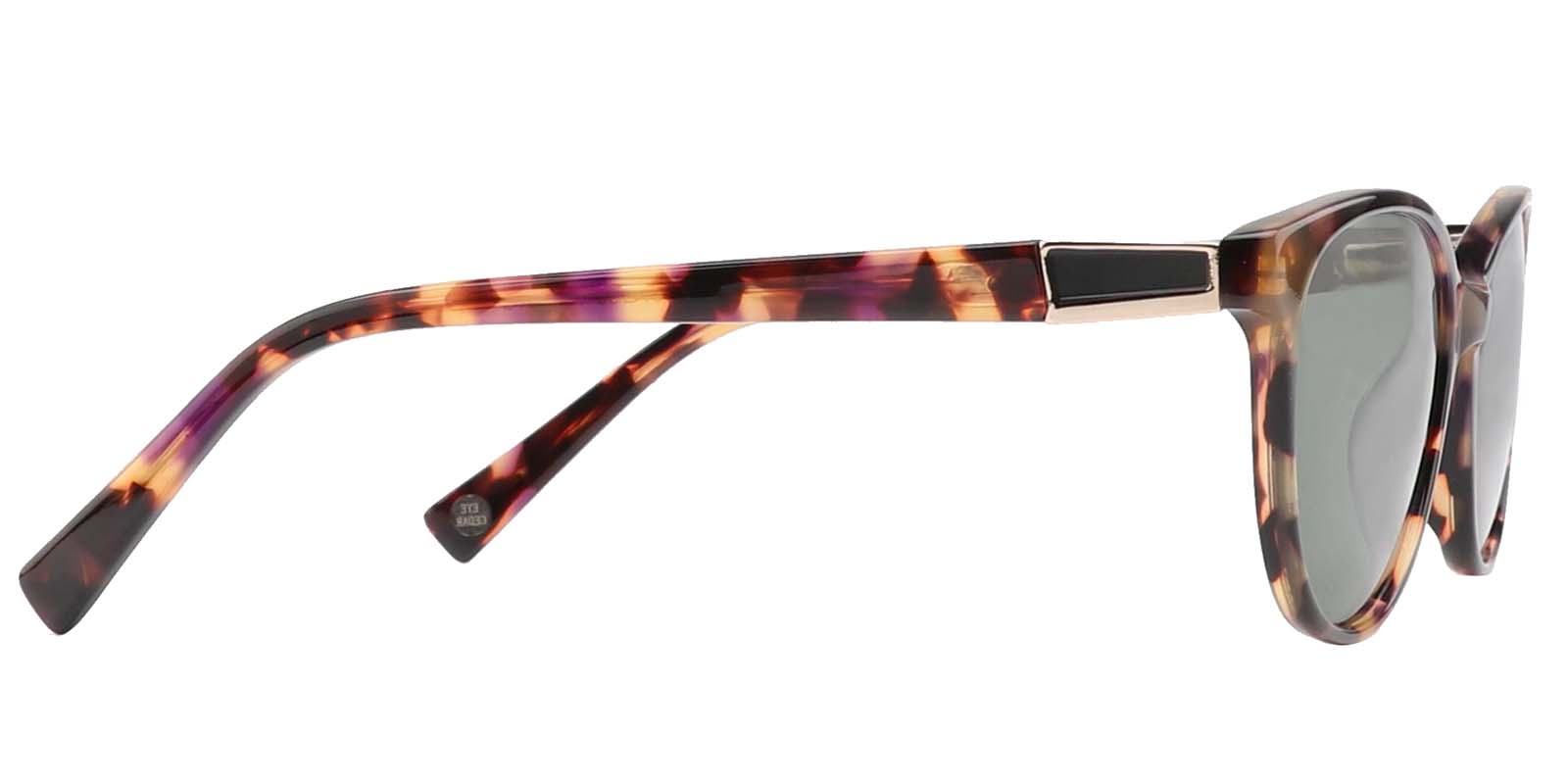 EYE8081S-Chetina-tortuga