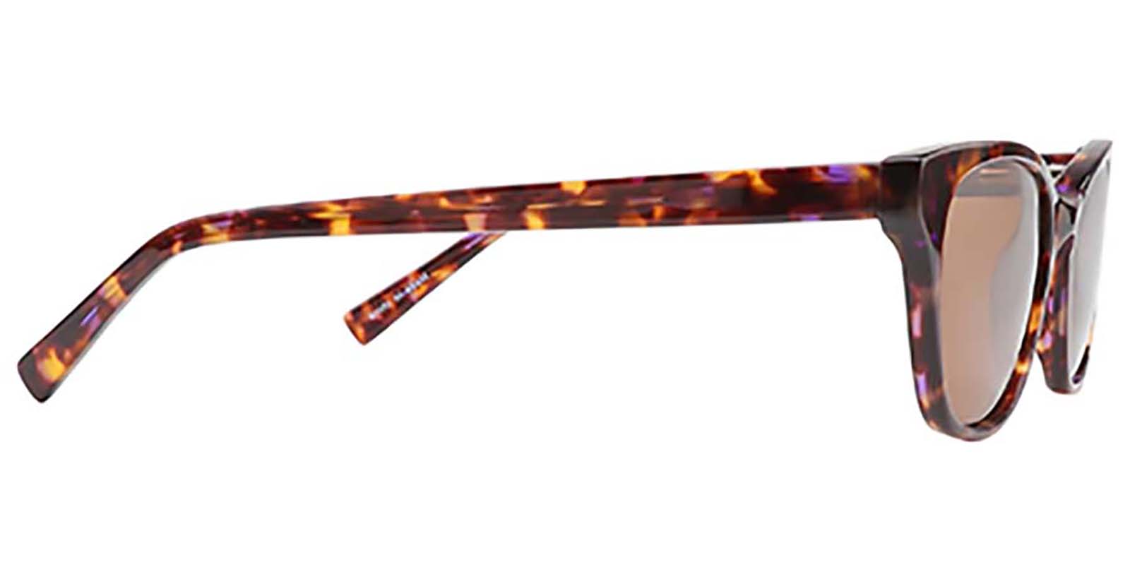 EYE8510S-Halina-tortuga