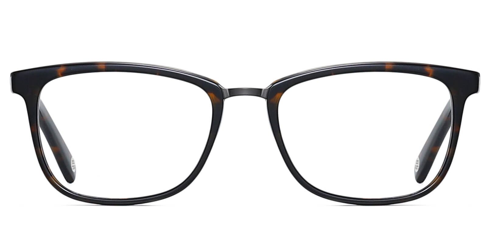 EYE8069-Willcern-carey