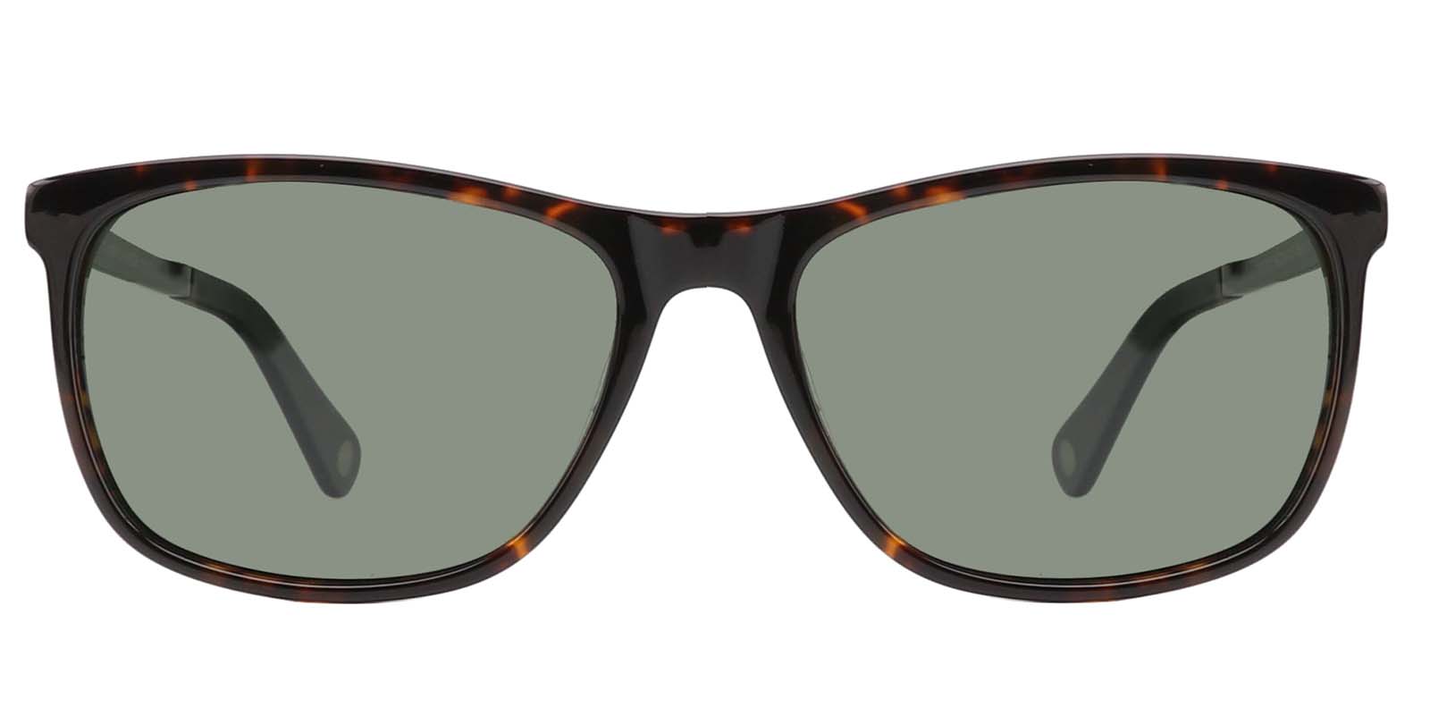 EYE8008S-Matour-tortuga