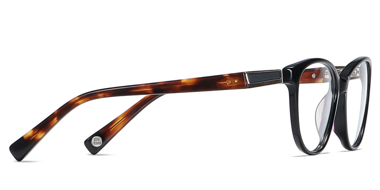 EYE8081-1-Chechin-tortuga