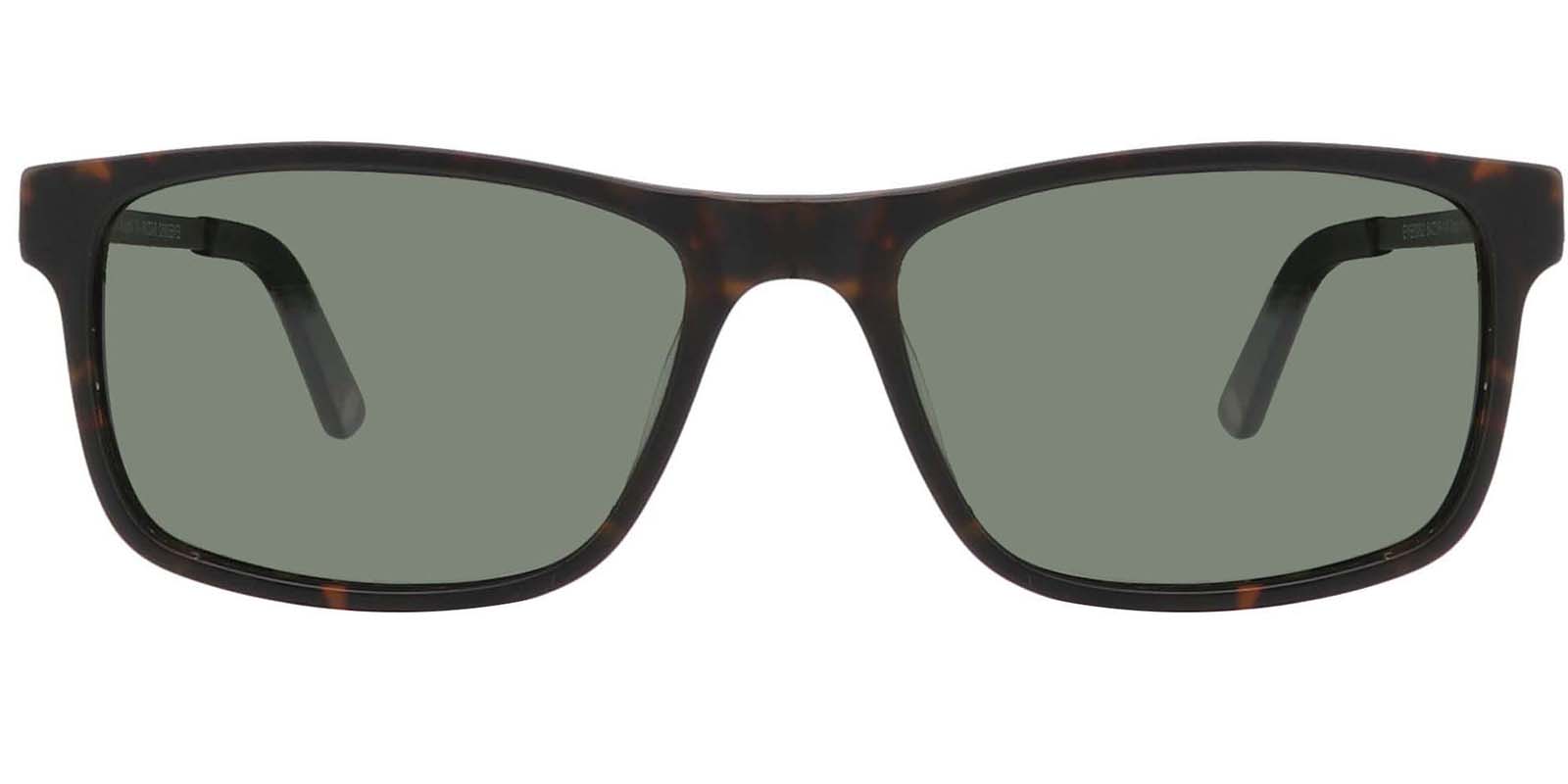 EYE8062S-Bligh-tortuga