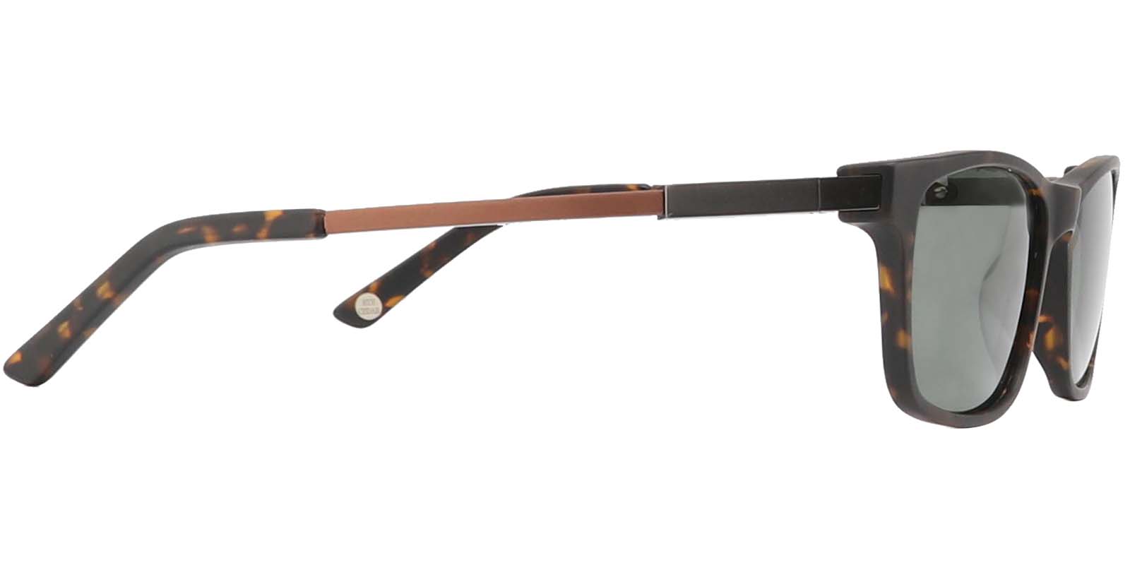 EYE8062S-Bligh-tortuga