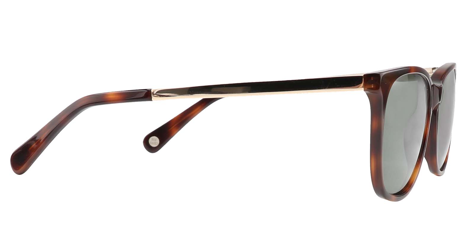 EYE8005-1S-Spolia-tortuga