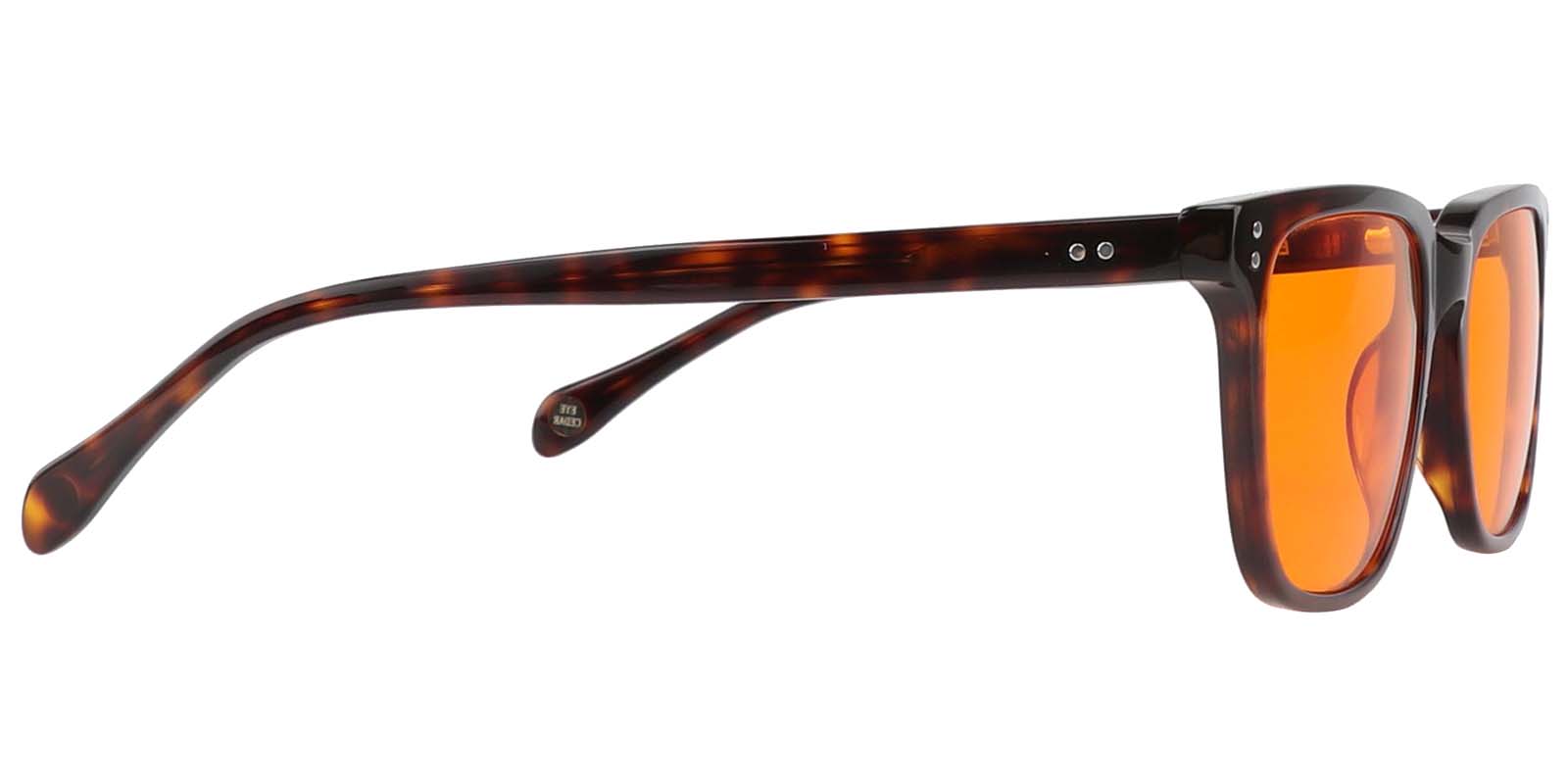 EYE8070B-Selecten-tortuga