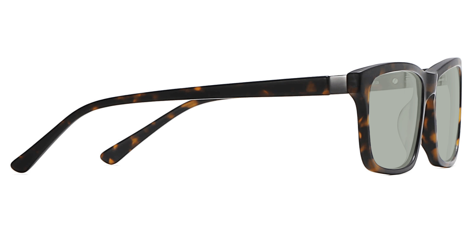 EYE8078S-Sunth-tortuga